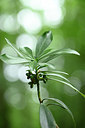 BUITEN BEELD Foto: 326079
