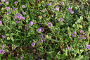 BUITEN BEELD Foto: 326089