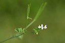 BUITEN BEELD Foto: 326096