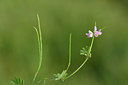 BUITEN BEELD Foto: 326097