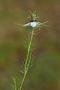 BUITEN BEELD Foto: 326099
