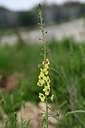 BUITEN BEELD Foto: 326100