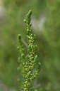 BUITEN BEELD Foto: 326102