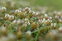 BUITEN BEELD Foto: 326106