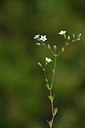 BUITEN BEELD Foto: 326108