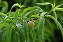BUITEN BEELD Foto: 326109