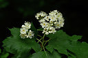 BUITEN BEELD Foto: 326114