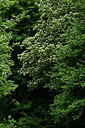 BUITEN BEELD Foto: 326117