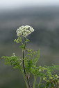 BUITEN BEELD Foto: 326122