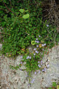 BUITEN BEELD Foto: 326134