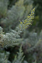 BUITEN BEELD Foto: 326137