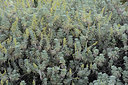 BUITEN BEELD Foto: 326138