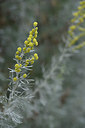 BUITEN BEELD Foto: 326140