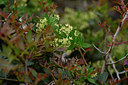 BUITEN BEELD Foto: 326149