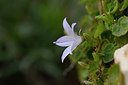 BUITEN BEELD Foto: 326157