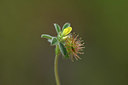 BUITEN BEELD Foto: 326161