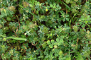 BUITEN BEELD Foto: 326163