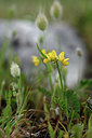 BUITEN BEELD Foto: 326168
