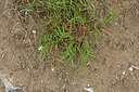 BUITEN BEELD Foto: 326173