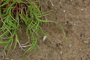 BUITEN BEELD Foto: 326174