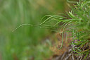 BUITEN BEELD Foto: 326175