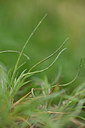 BUITEN BEELD Foto: 326176