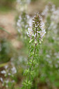 BUITEN BEELD Foto: 326183