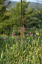 BUITEN BEELD Foto: 326205