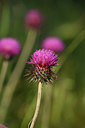 BUITEN BEELD Foto: 326206