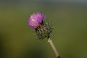 BUITEN BEELD Foto: 326212