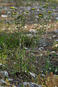 BUITEN BEELD Foto: 326217