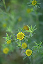 BUITEN BEELD Foto: 326220