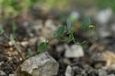 BUITEN BEELD Foto: 326235