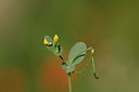 BUITEN BEELD Foto: 326247
