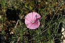 BUITEN BEELD Foto: 326248