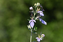 BUITEN BEELD Foto: 326250