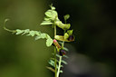 BUITEN BEELD Foto: 326251