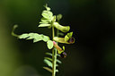 BUITEN BEELD Foto: 326252