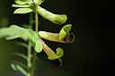 BUITEN BEELD Foto: 326253
