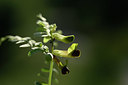 BUITEN BEELD Foto: 326254