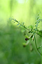 BUITEN BEELD Foto: 326255