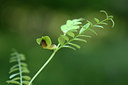 BUITEN BEELD Foto: 326257