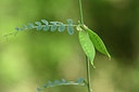 BUITEN BEELD Foto: 326258