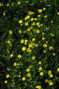 BUITEN BEELD Foto: 326259