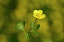 BUITEN BEELD Foto: 326260