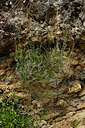 BUITEN BEELD Foto: 326263