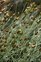 BUITEN BEELD Foto: 326265