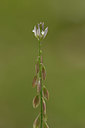 BUITEN BEELD Foto: 326266