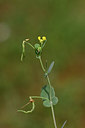 BUITEN BEELD Foto: 326269