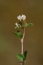 BUITEN BEELD Foto: 326270